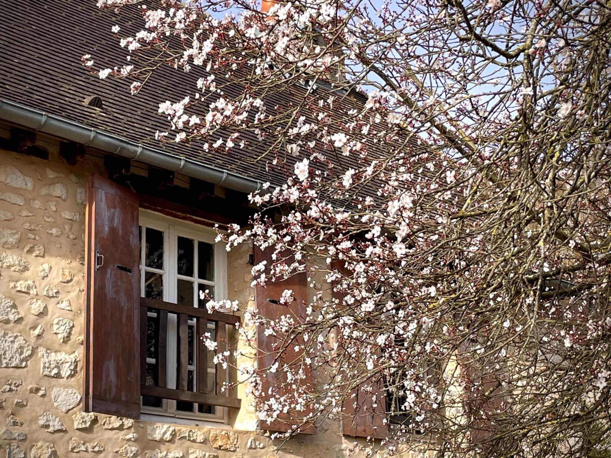 Evergreen Guesthouse 버넌 외부 사진